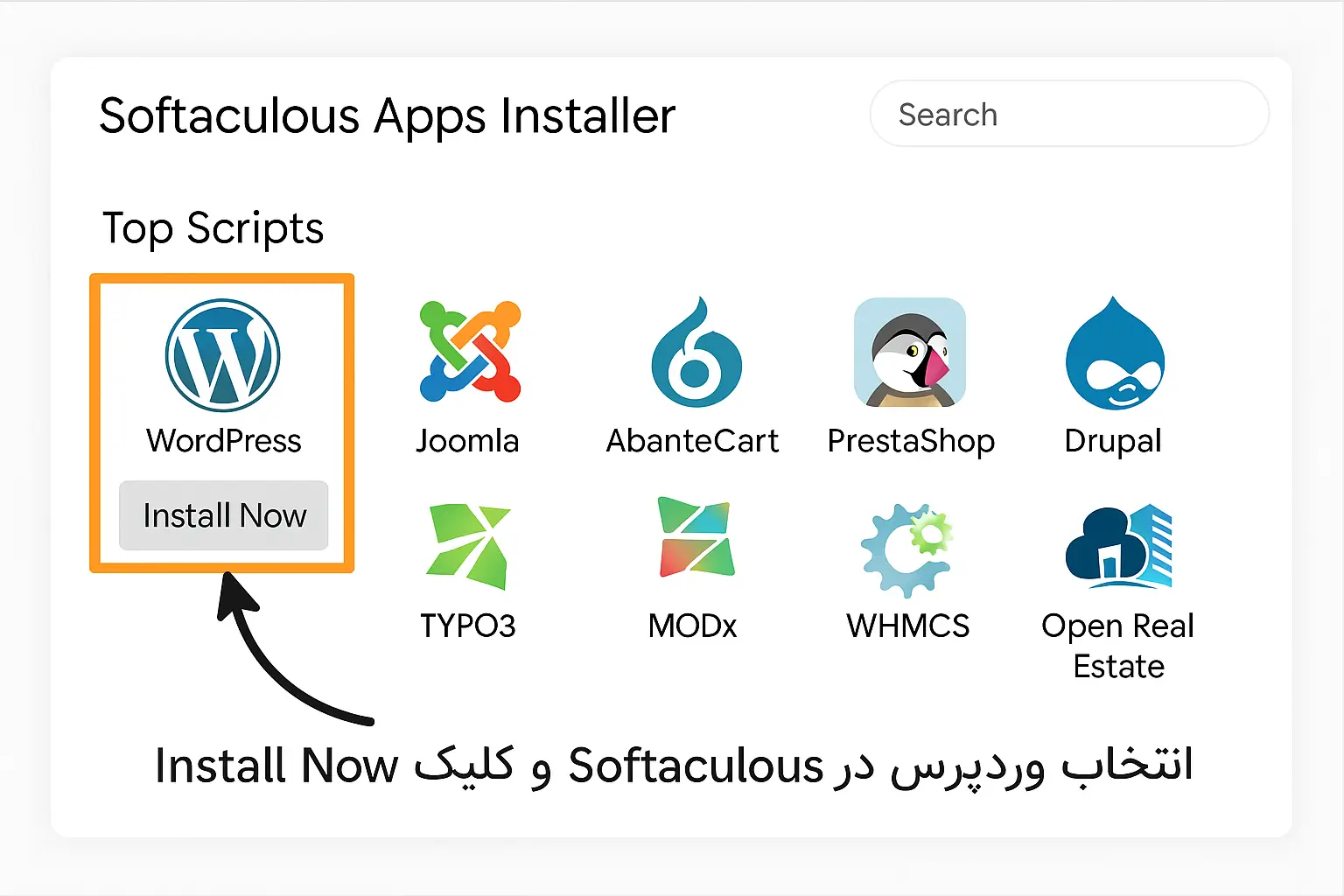 انتخاب وردپرس در Softaculous و کلیک روی دکمه Install Now