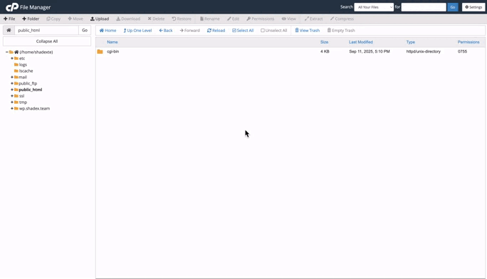 استفاده از File Manager در سیپنل